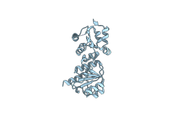 1IPA image