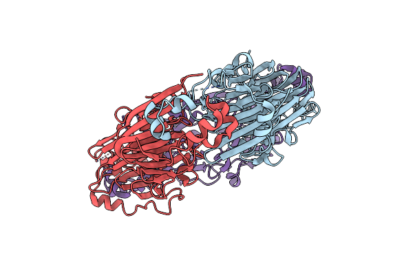 1IPK image