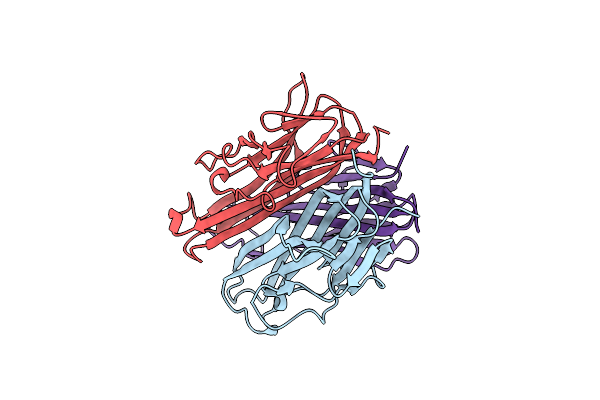 1IQA image