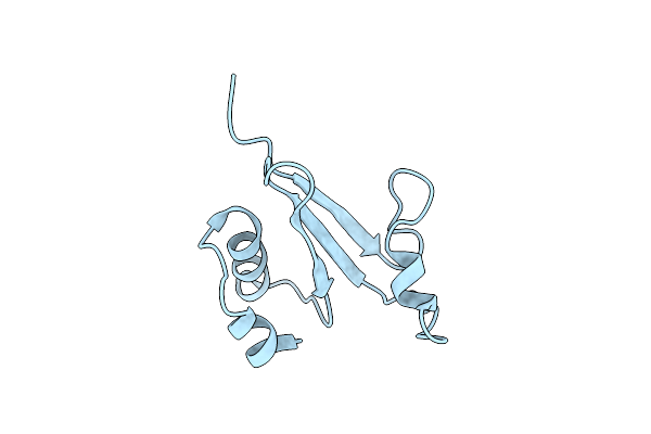 1IQS image