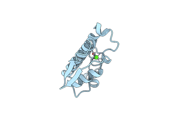 1IRB image