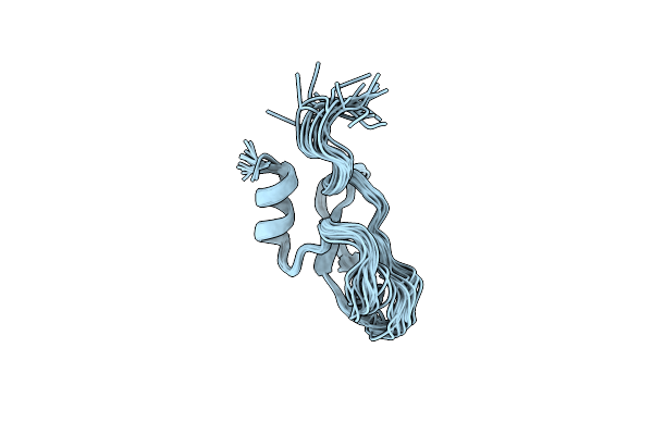 1IRH image