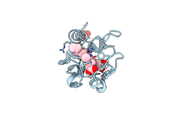 1IRV image