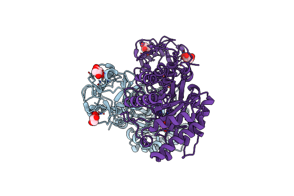 1ISV image