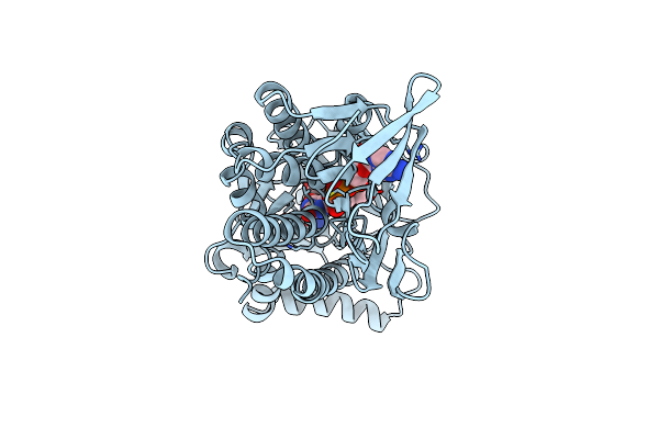 1IUT image