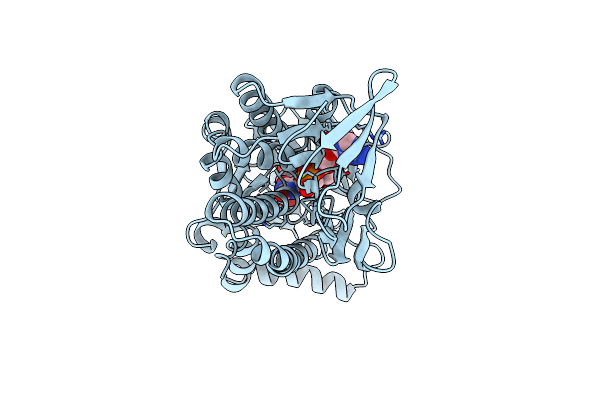 1IUV image