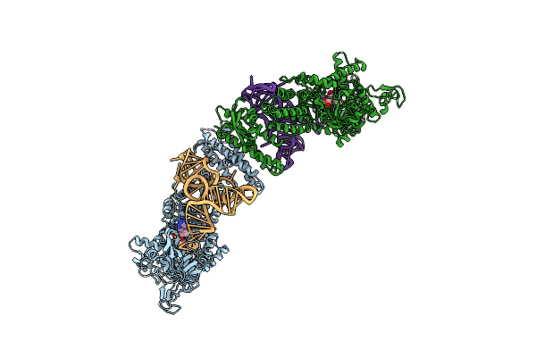 1IVS image