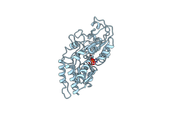 1IXG image