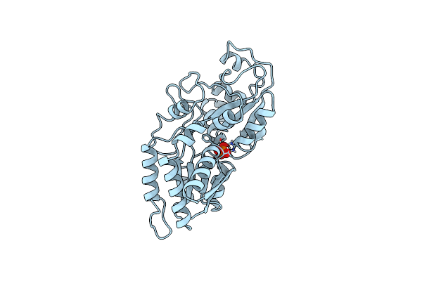1IXH image