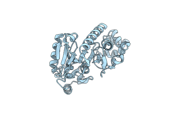 1IXK image