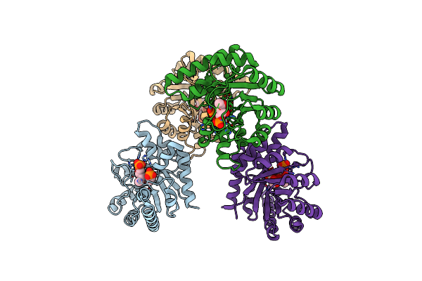 1IXN image