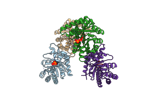 1IXO image