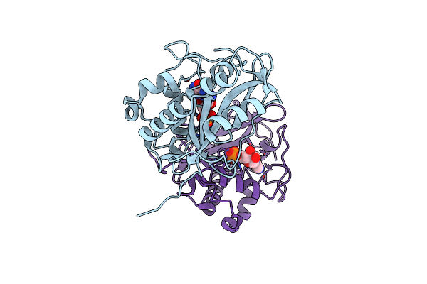 1IYB image