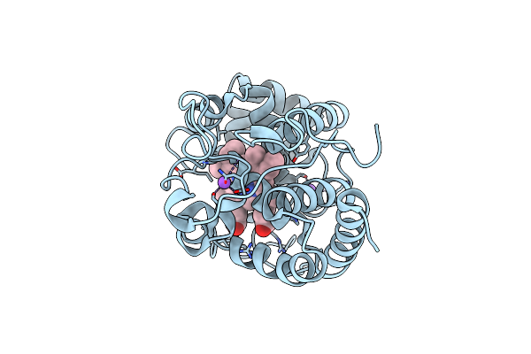 1IYN image