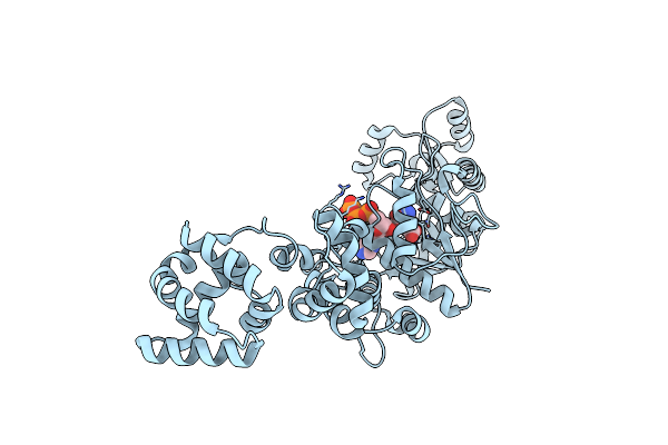 1J09 image