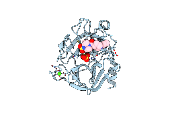 1J17 image