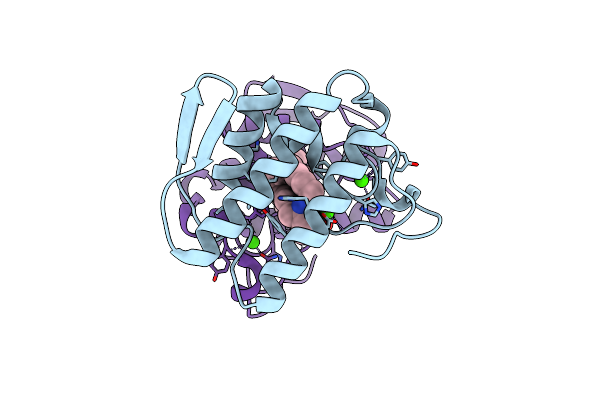 1J1A image