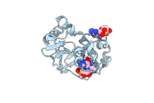 1J1G image