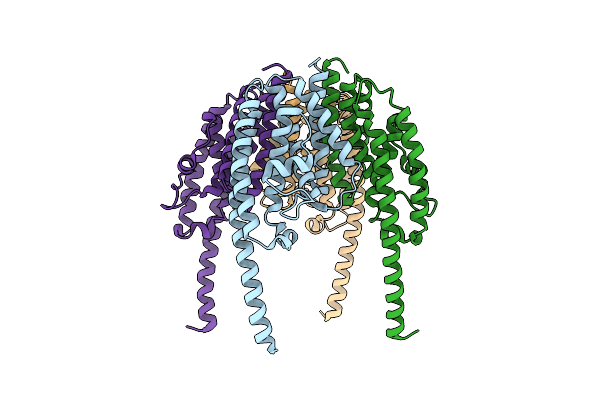 1J1J image