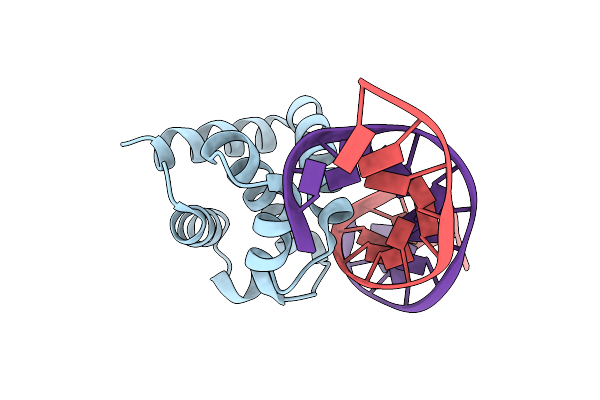1J1V image