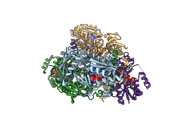 1J20 image