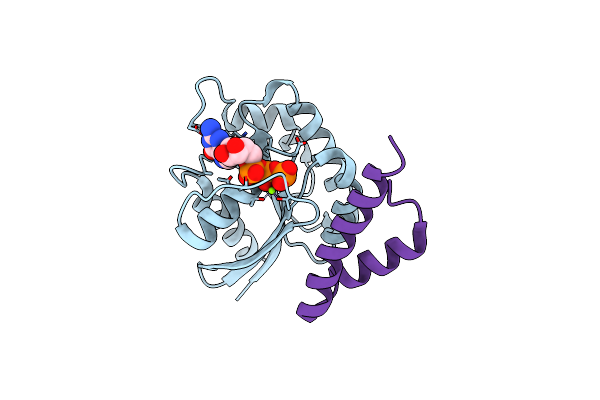1J2J image