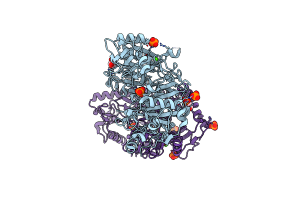 1J3B image