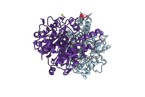 1J3N image