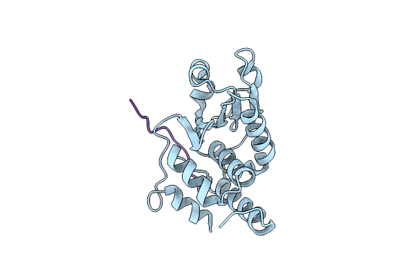 1J4X image