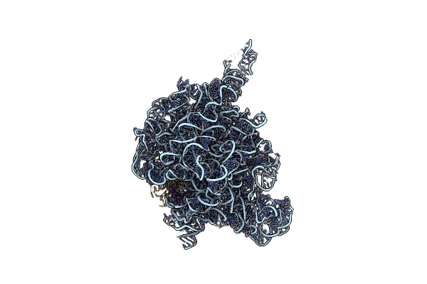 1J5A image