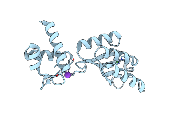 1J5Y image