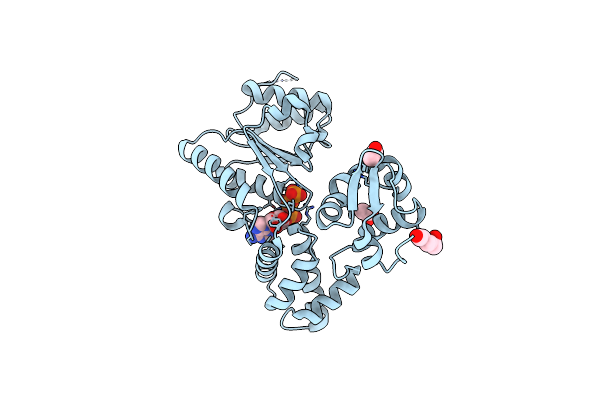 1J7K image