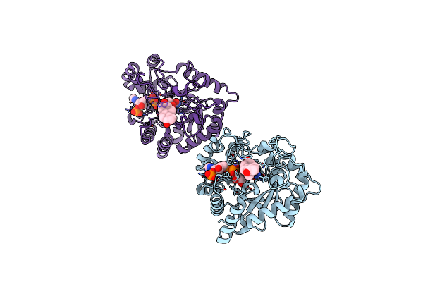 1J96 image