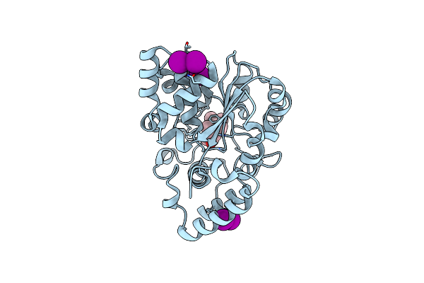 1J99 image