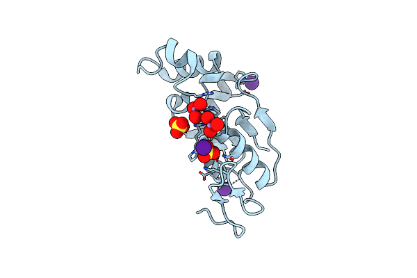 1J9B image