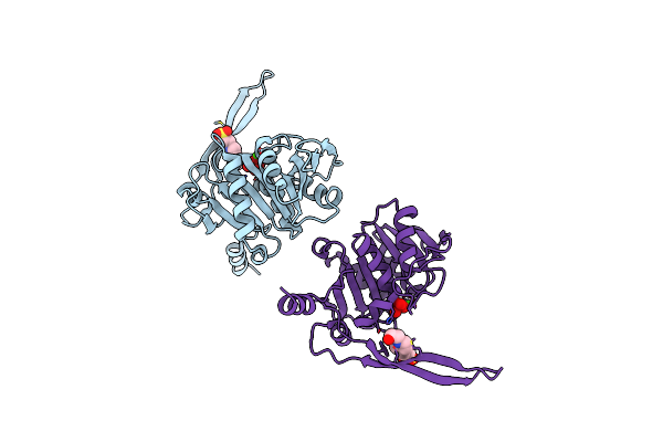 1J9K image