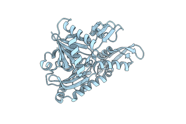 1JCE image