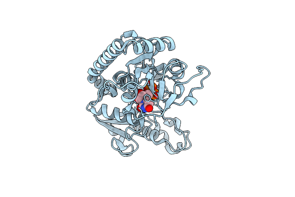 1JIX image