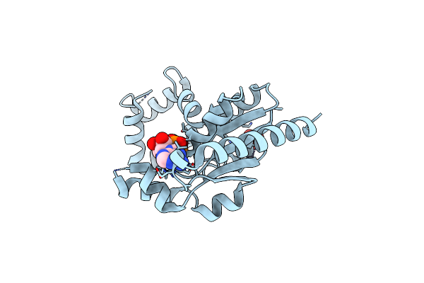 1JJV image