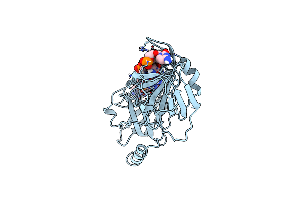 1JMC image