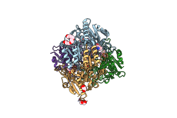 1JSR image