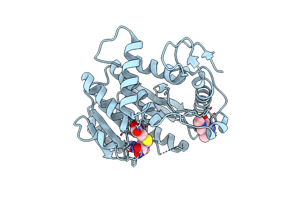 1JSZ image