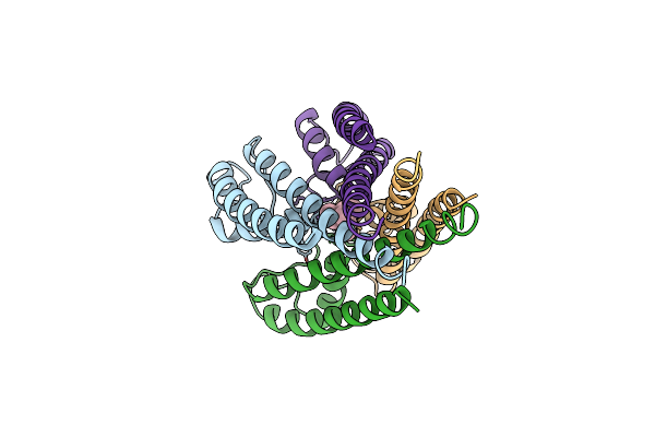1JVM image