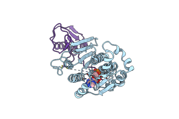 1JWB image