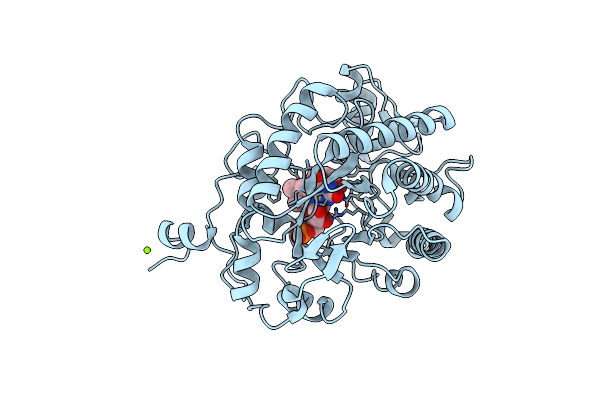 1K03 image
