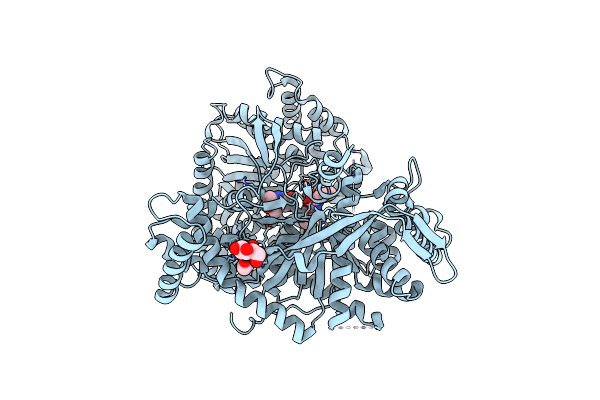 1K06 image
