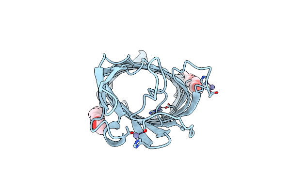 1K24 image