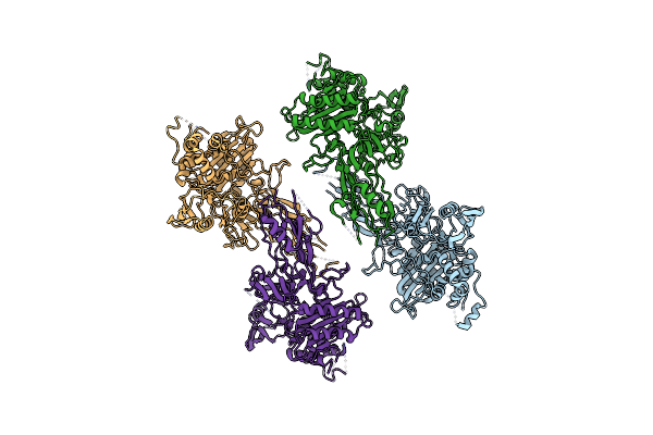 1K25 image