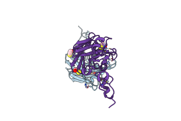 1K2F image