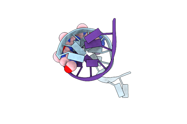 1K2Z image